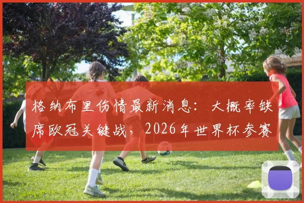 格纳布里伤情最新消息：大概率缺席欧冠关键战，2026年世界杯参赛前景蒙上阴影