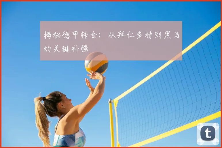 揭秘德甲转会：从拜仁多特到黑马的关键补强